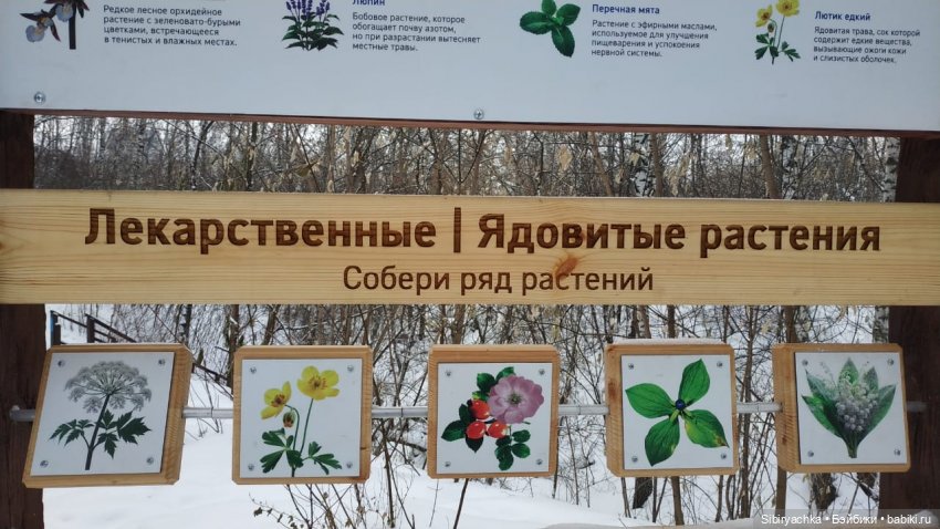 Юляшка гуляет в Михайловской роще