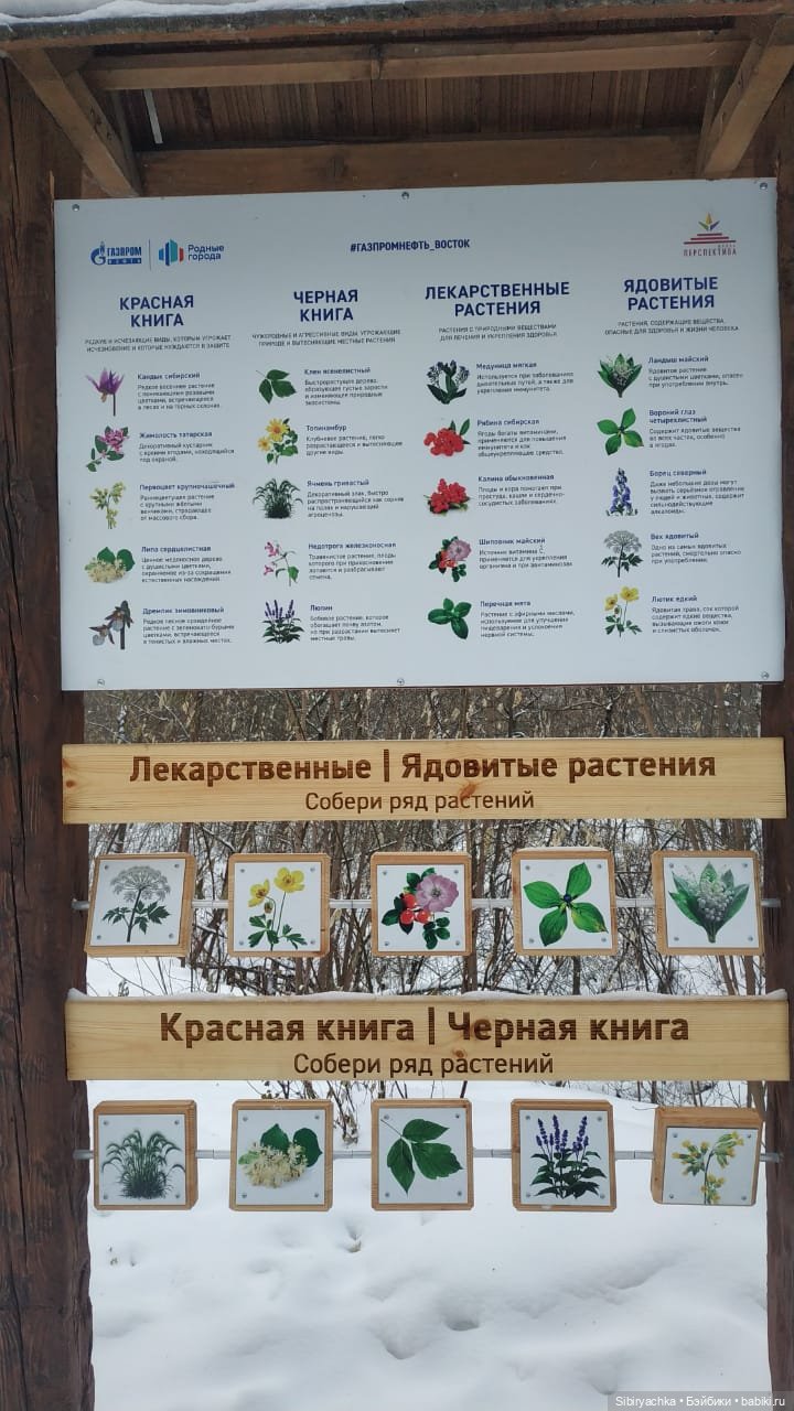 Юляшка гуляет в Михайловской роще