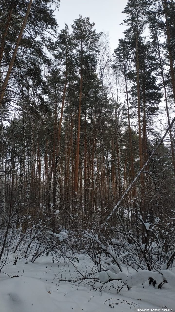 Лесная прогулка Наташи — Игровые куклы разных производителей (Разное): редкие бренды