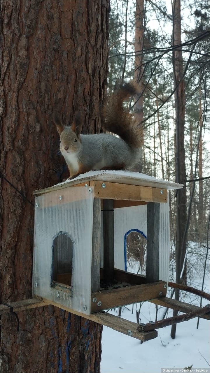 Лесная прогулка Наташи — Игровые куклы разных производителей (Разное): редкие бренды