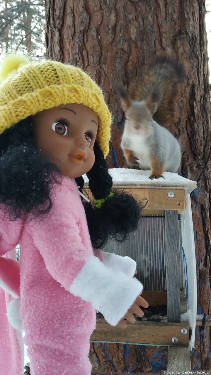 Сибирские белочки — В мире животных: смешные фото питомцев и зверей