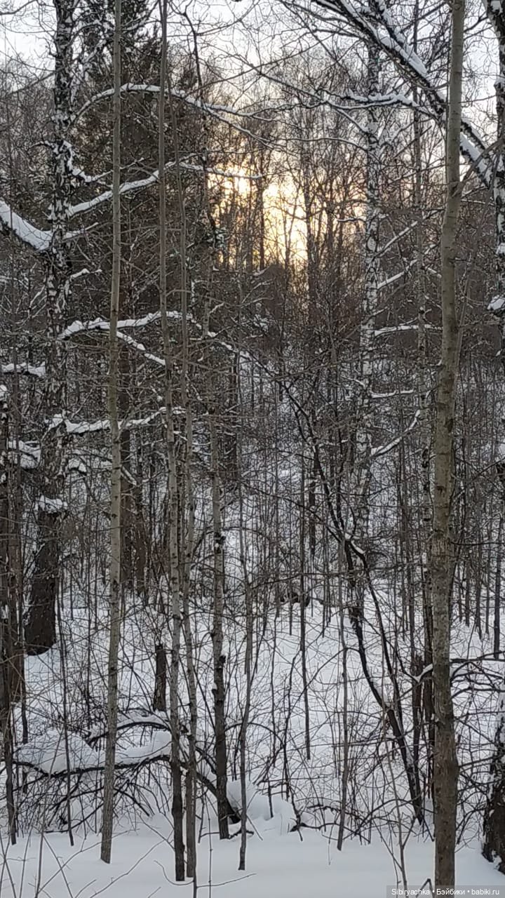 Юляшка гуляет в любимом лесу
