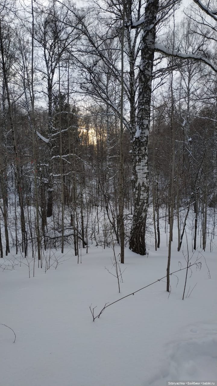Юляшка гуляет в любимом лесу