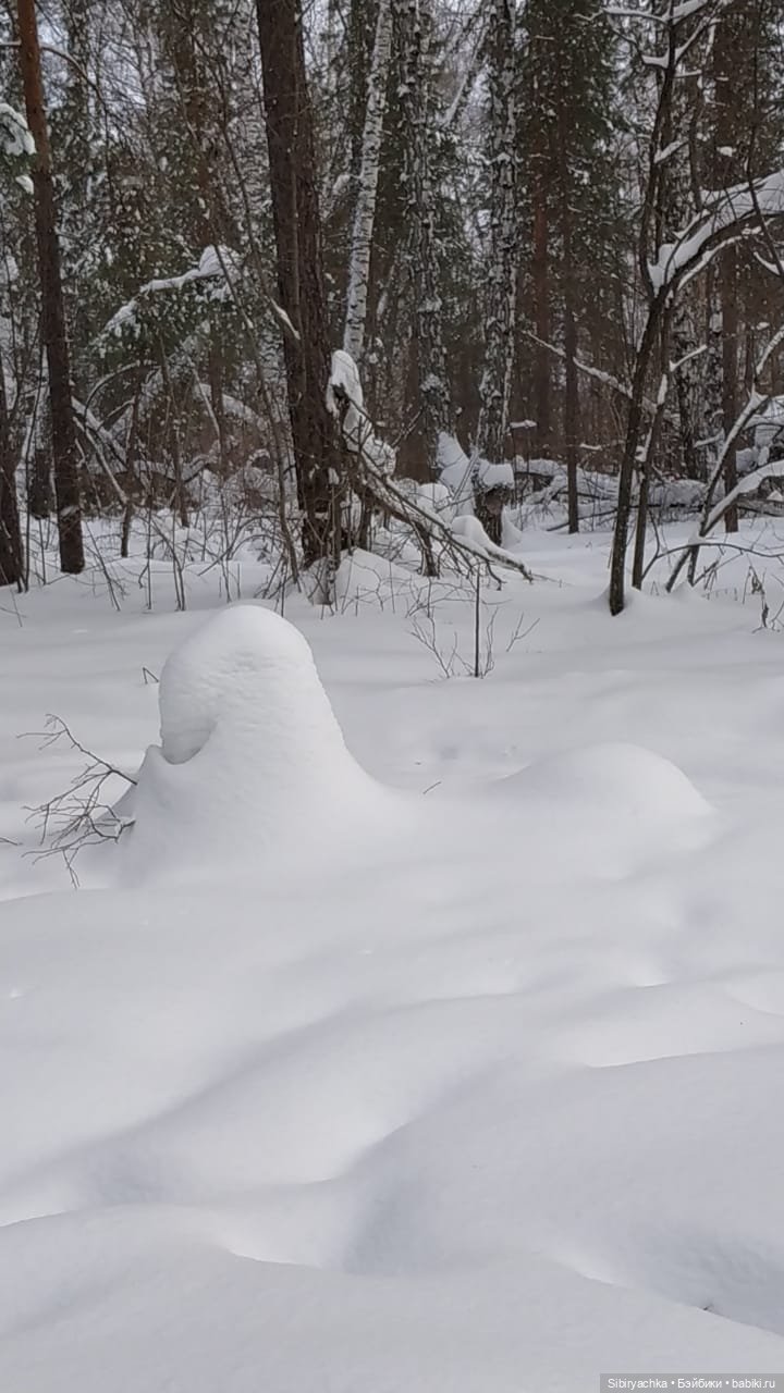Юляшка гуляет в любимом лесу