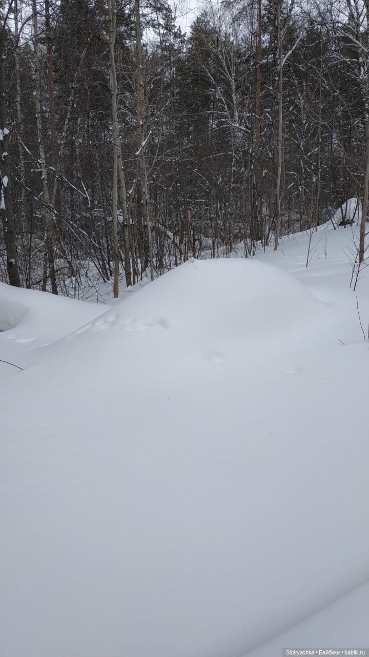 Юляшка гуляет в любимом лесу