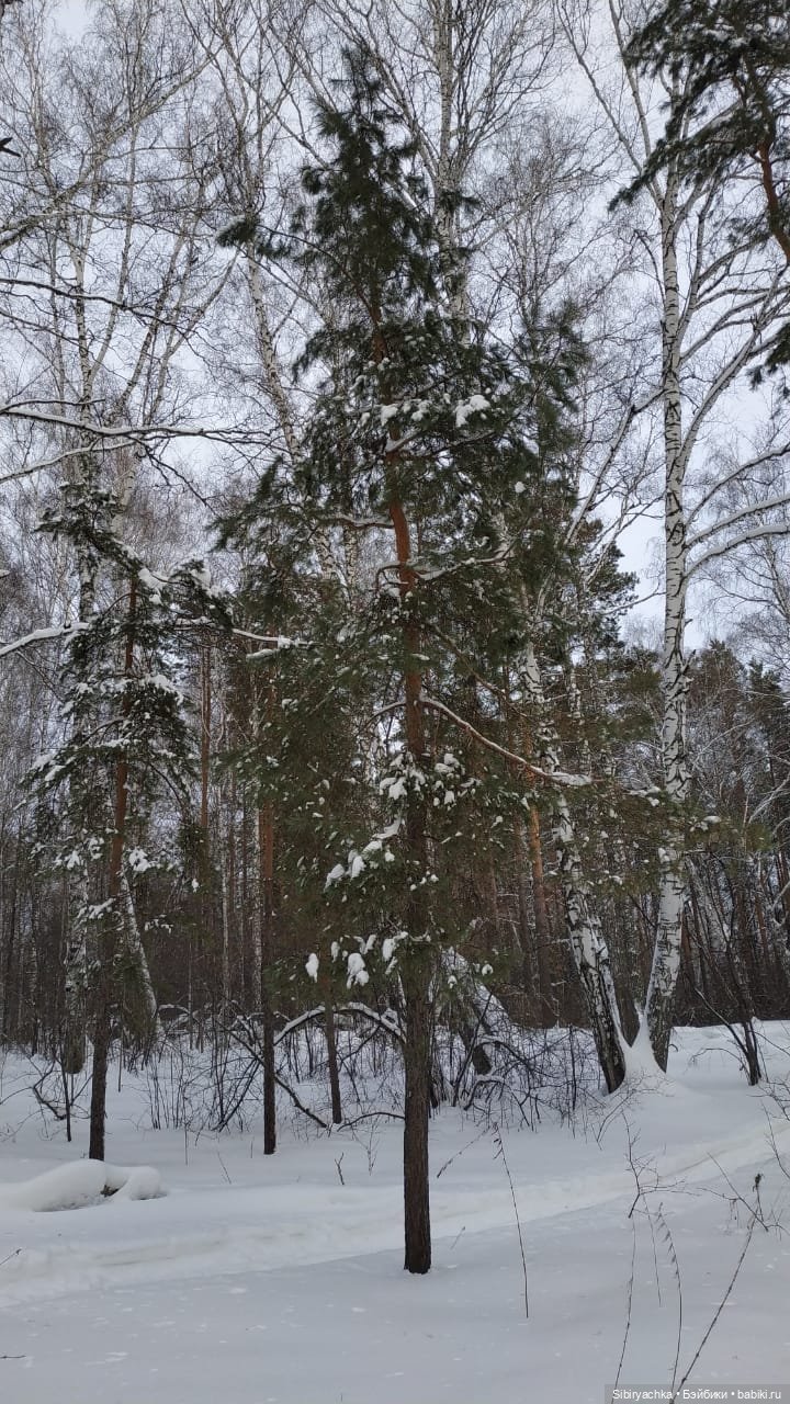 Юляшка гуляет в любимом лесу