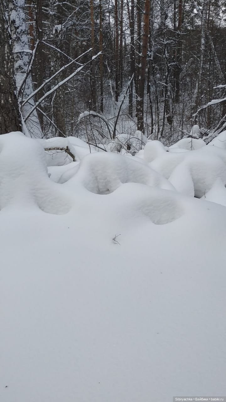 Юляшка гуляет в любимом лесу