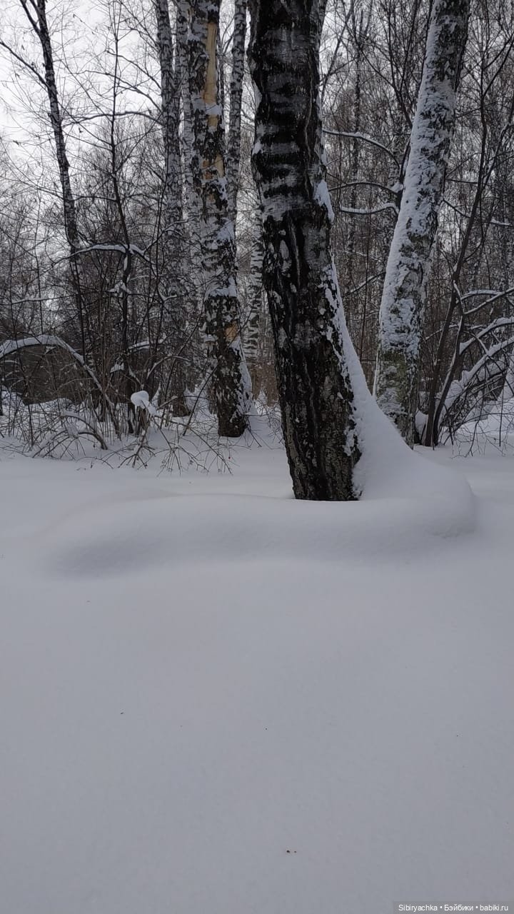 Юляшка гуляет в любимом лесу