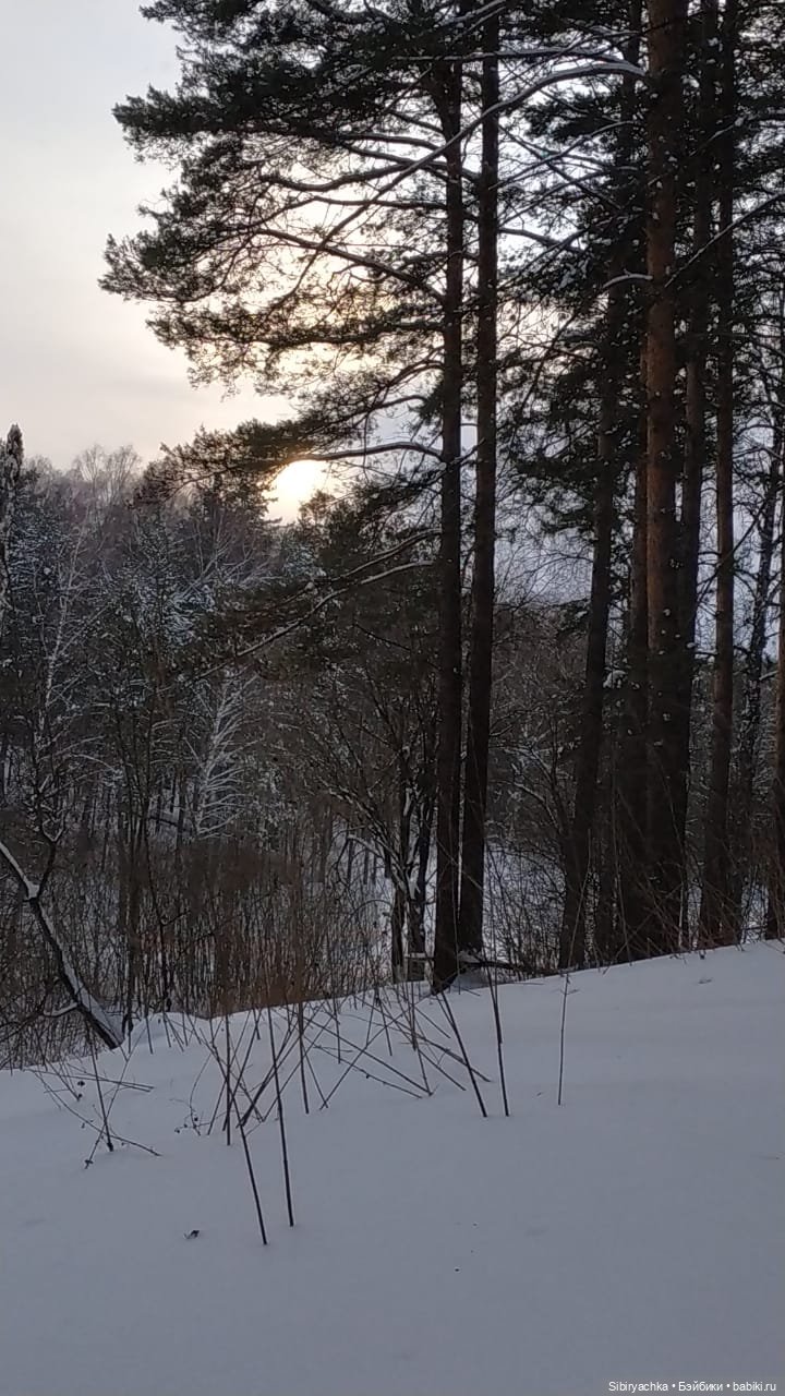 Юляшка гуляет в любимом лесу