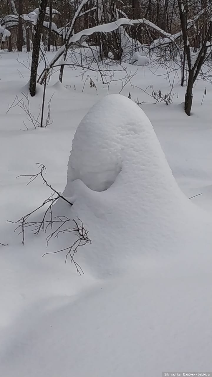 Юляшка гуляет в любимом лесу