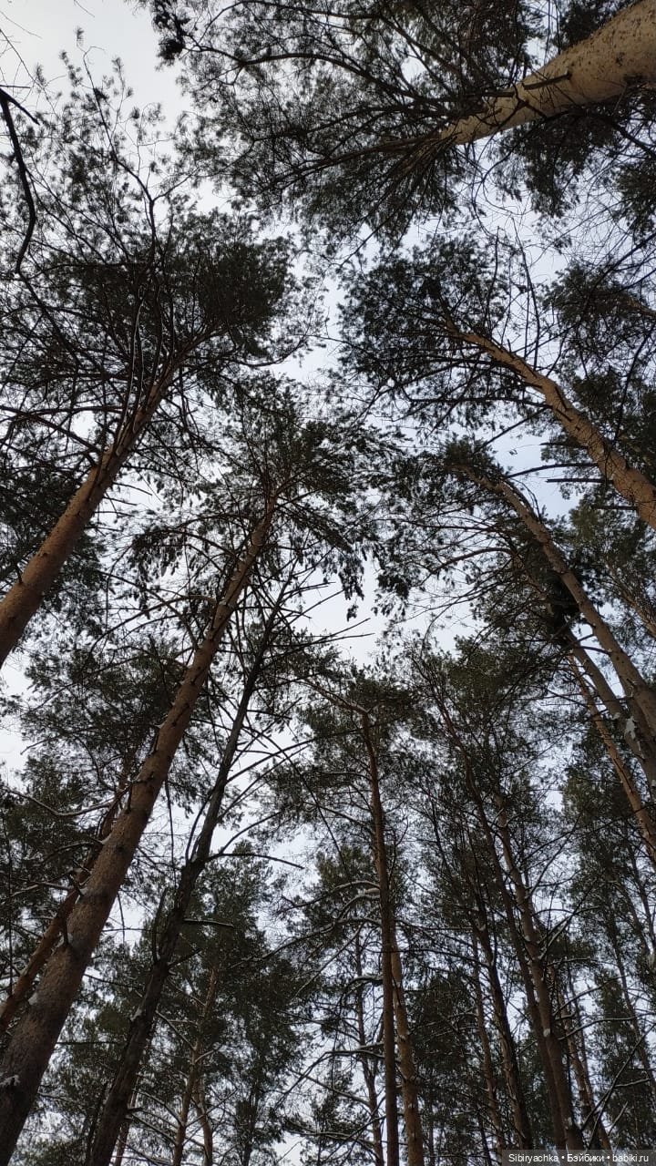 Юляшка гуляет в любимом лесу