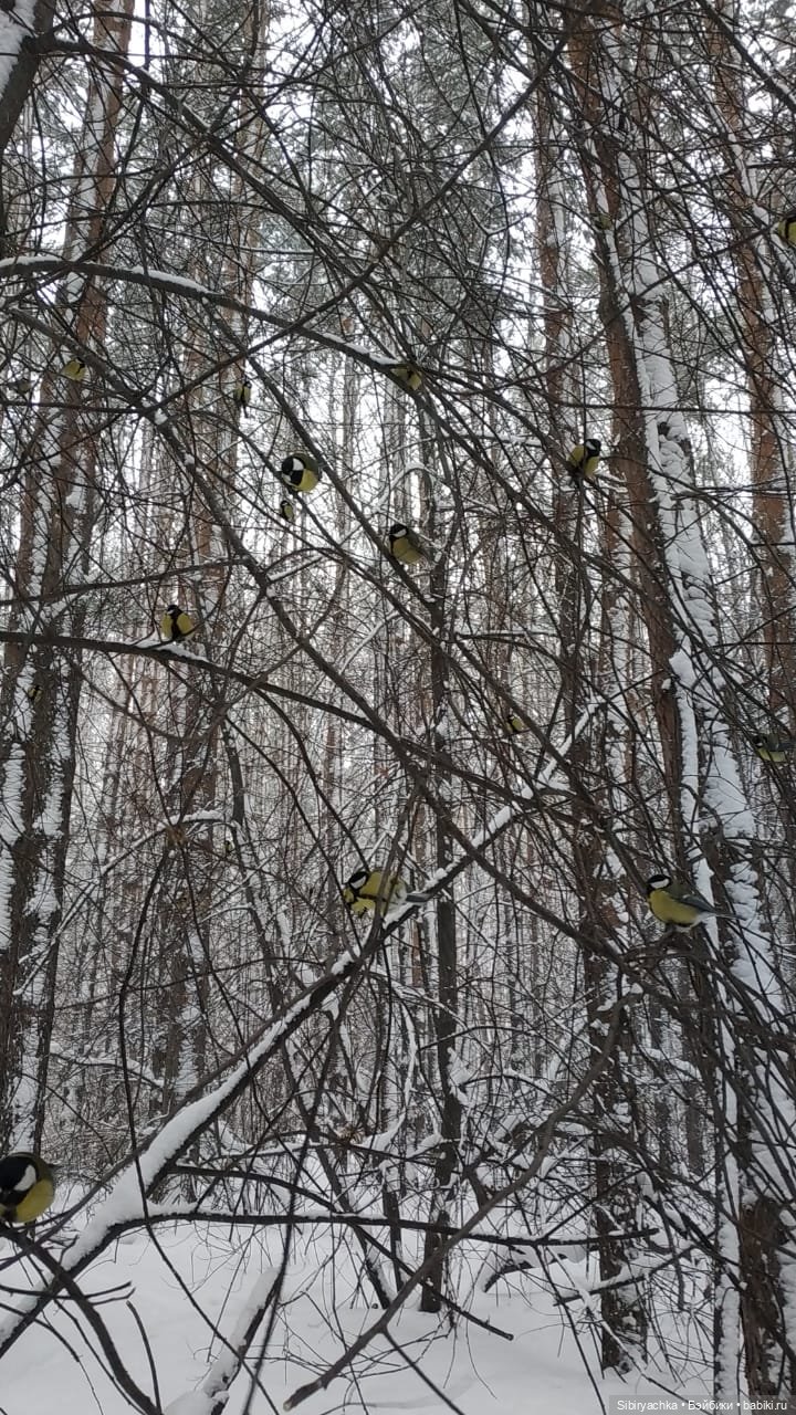 Лыжная прогулка Юляшки — Советские винтажные куклы (СССР): Ленигрушка