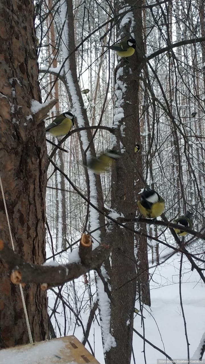 Лыжная прогулка Юляшки — Советские винтажные куклы (СССР): Ленигрушка