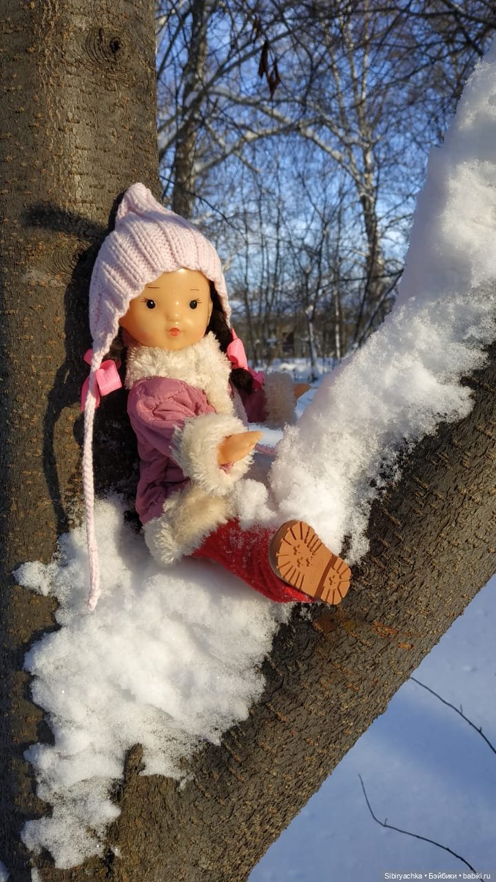 Игра света и тьмы в сибирском лесу