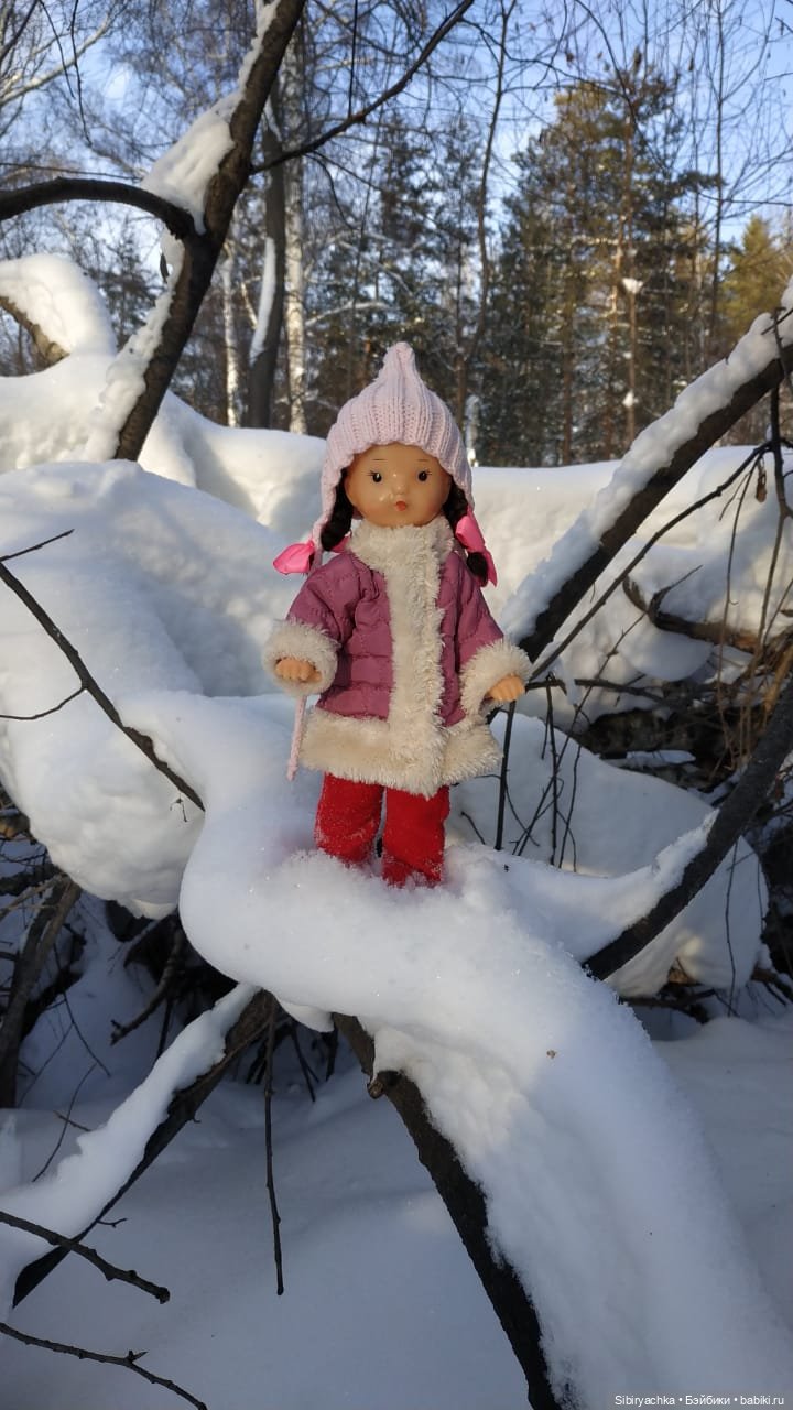 Игра света и тьмы в сибирском лесу