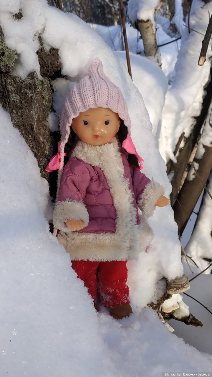 Игра света и тьмы в сибирском лесу