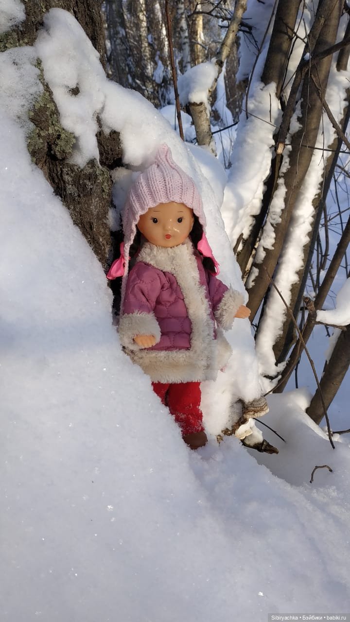 Игра света и тьмы в сибирском лесу