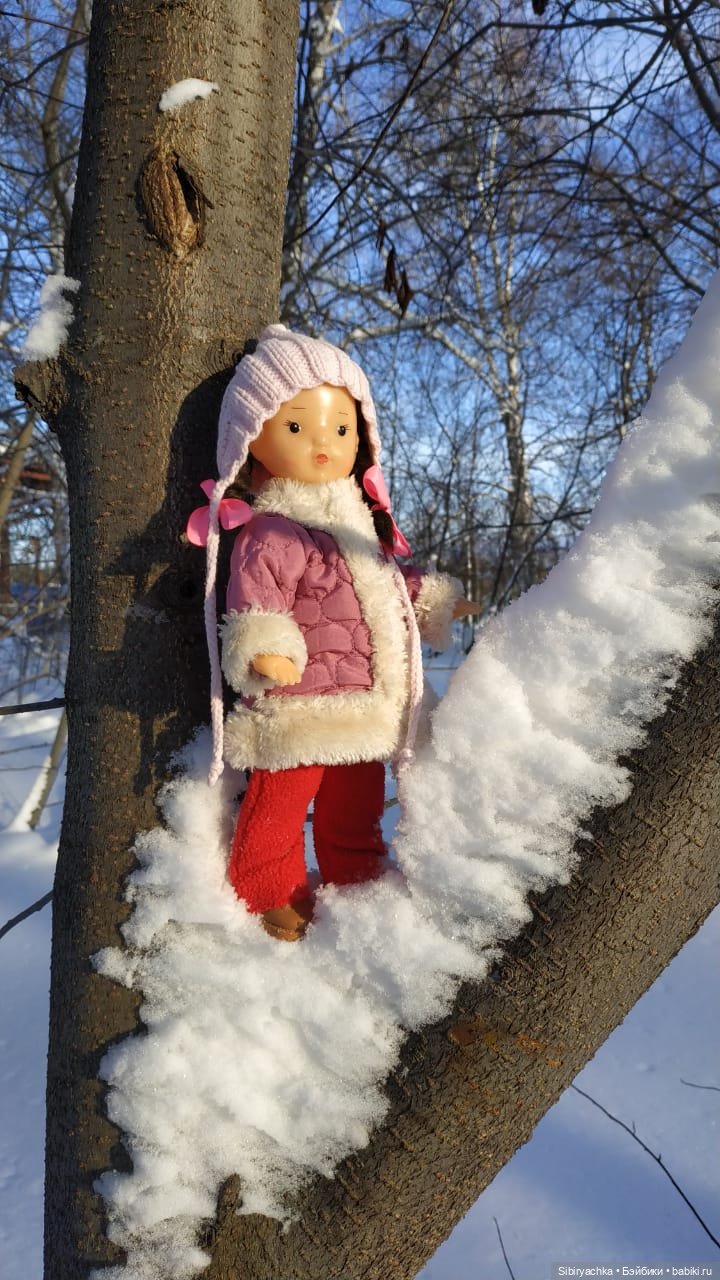 Игра света и тьмы в сибирском лесу