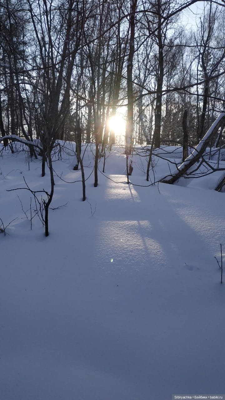 Игра света и тьмы в сибирском лесу