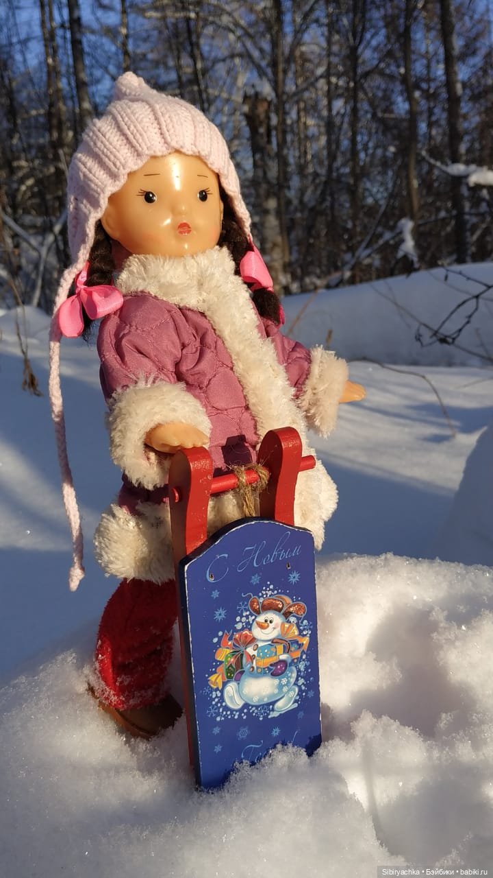 Игра света и тьмы в сибирском лесу