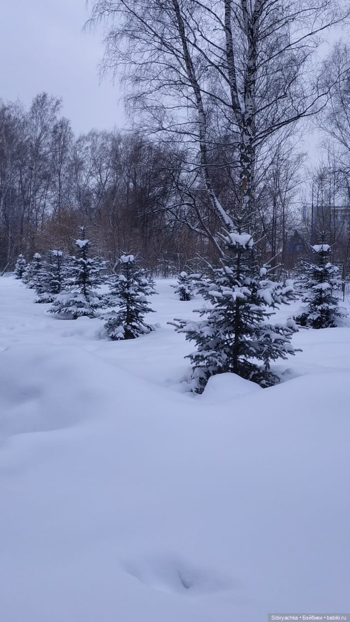 Юляшкина прогулка — Советские винтажные куклы (СССР): Ленигрушка