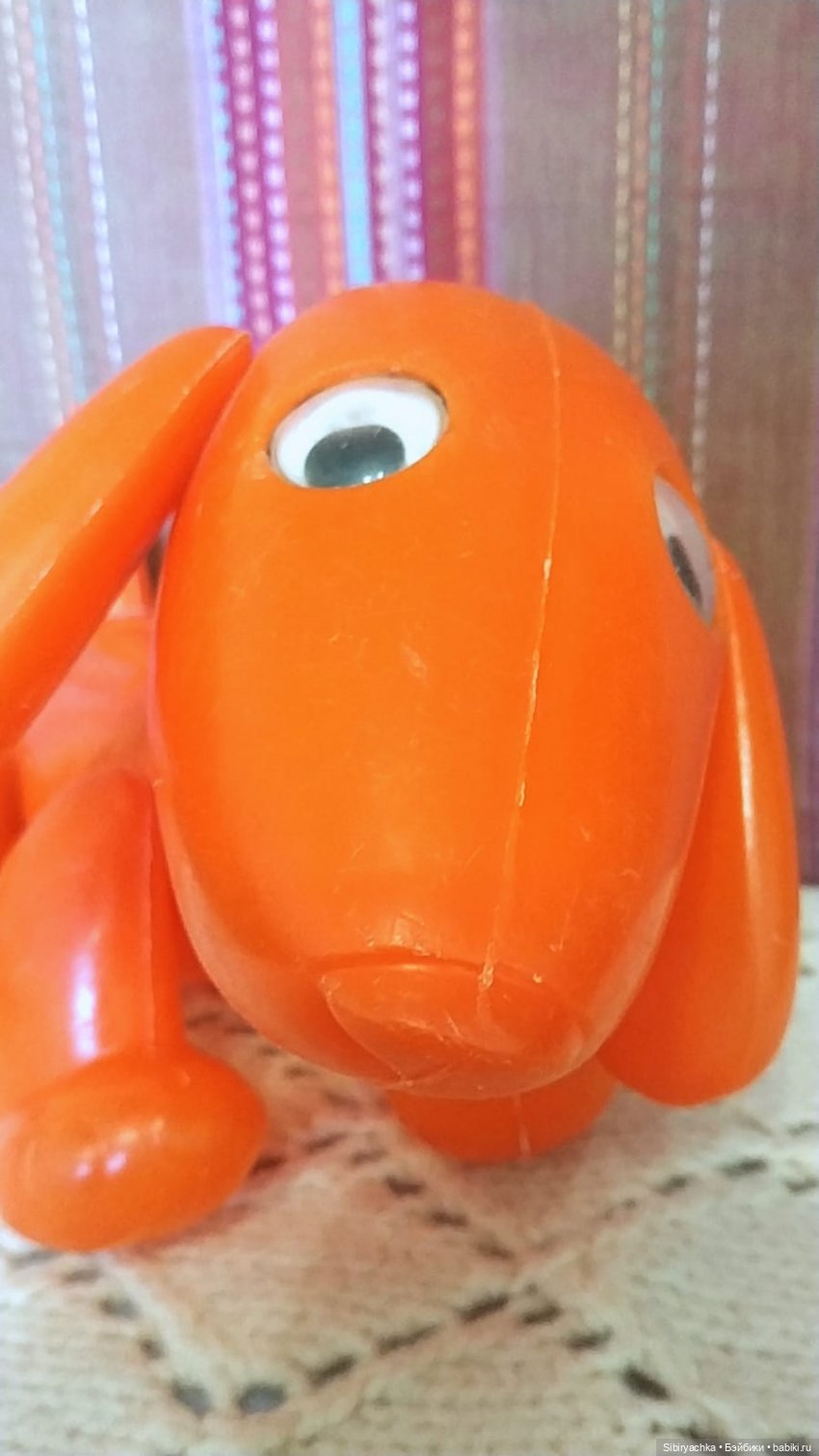 Кекс выбрал себе нового хозяина (фото 4)