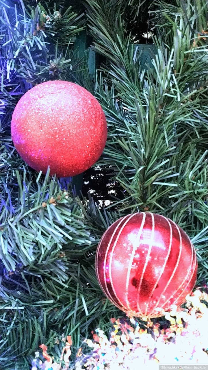 Вета отправилась на поиски новых впечатлений (фото 3)