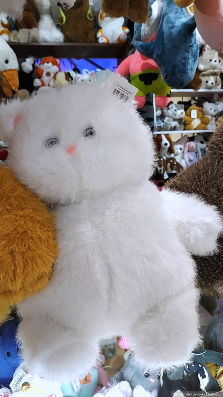 Вета отправилась на поиски новых впечатлений