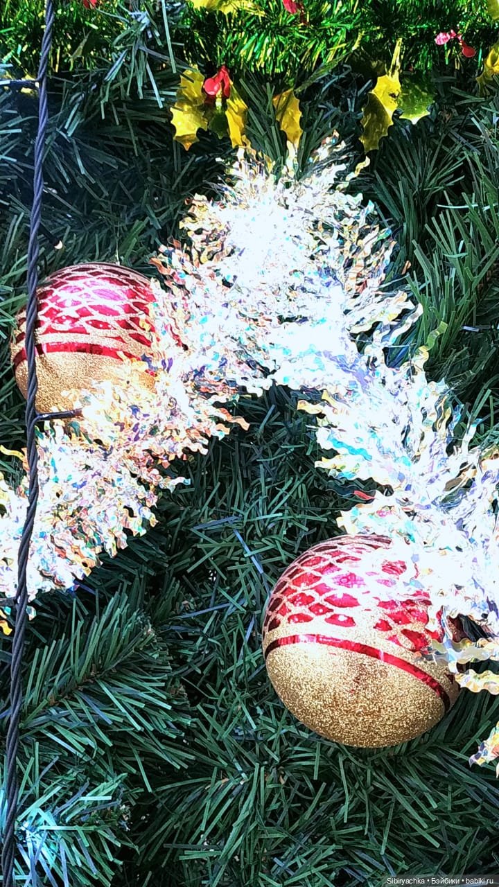 Вета отправилась на поиски новых впечатлений (фото 2)