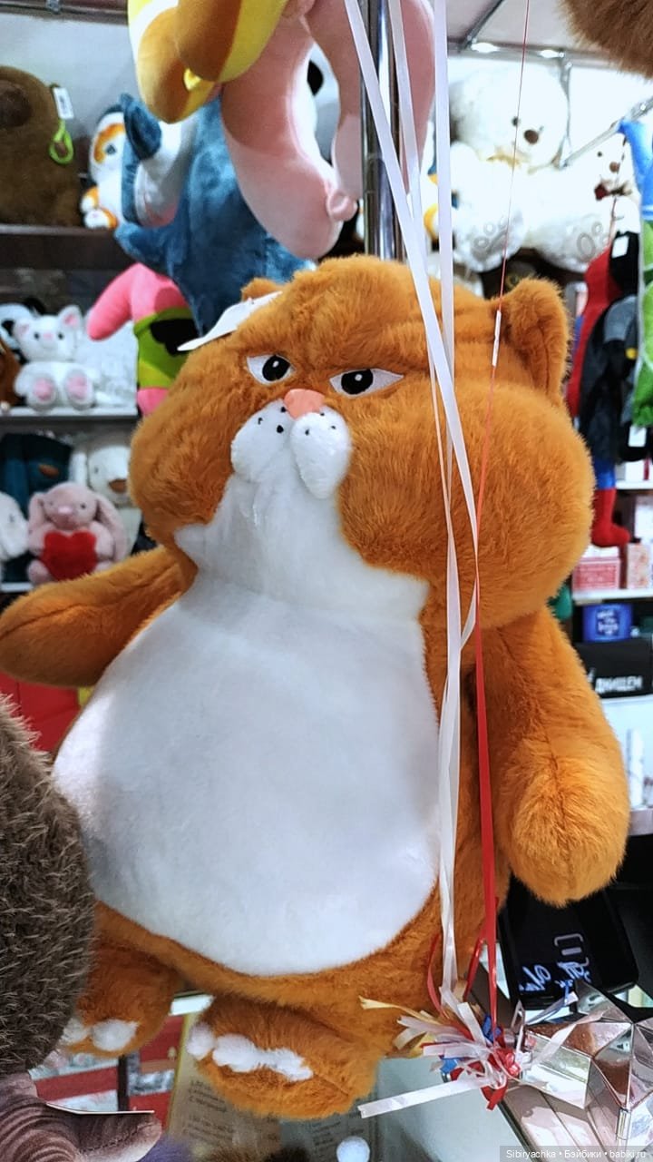 Вета отправилась на поиски новых впечатлений