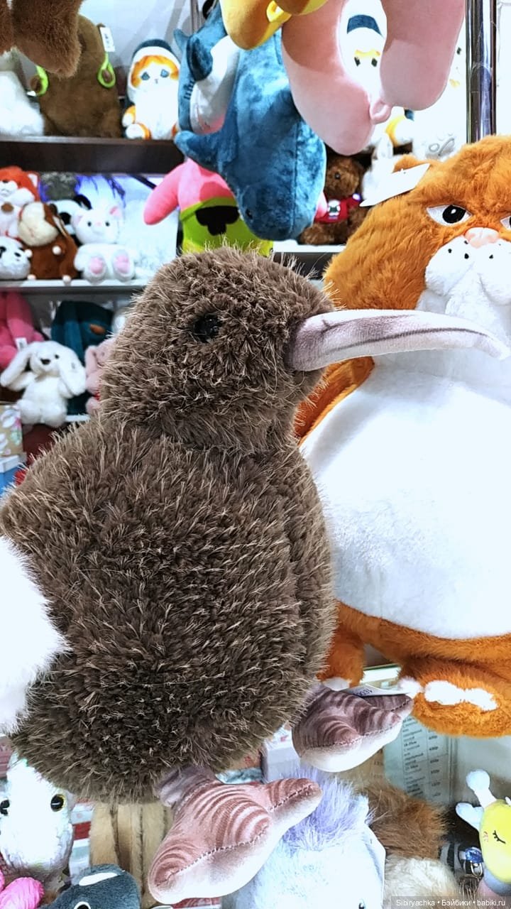 Вета отправилась на поиски новых впечатлений