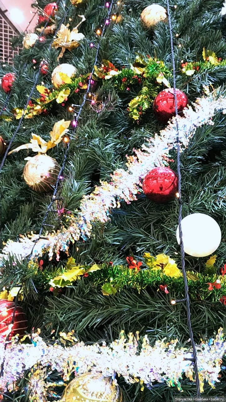 Вета отправилась на поиски новых впечатлений