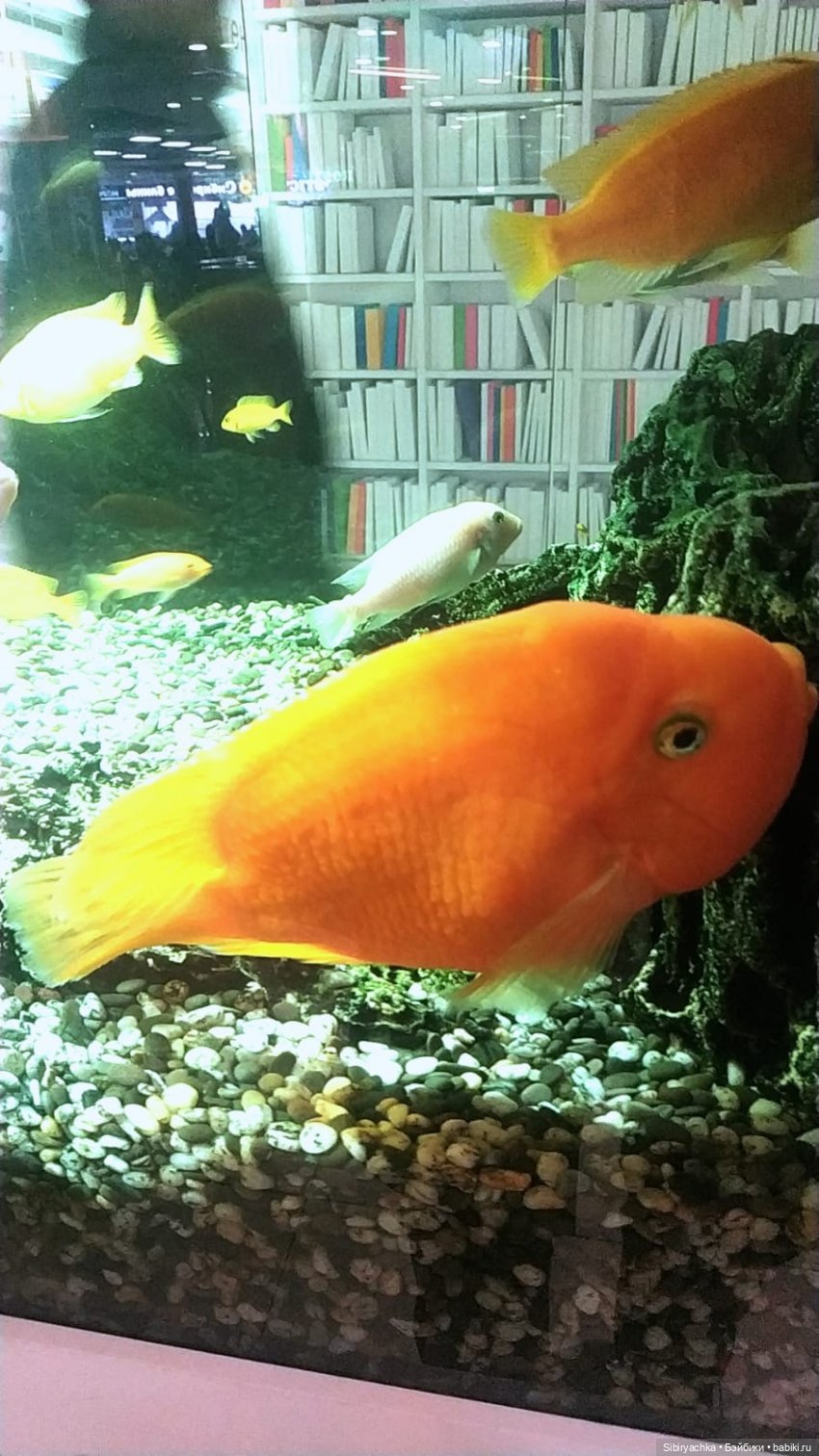 Маленький кусочек праздника для Веты