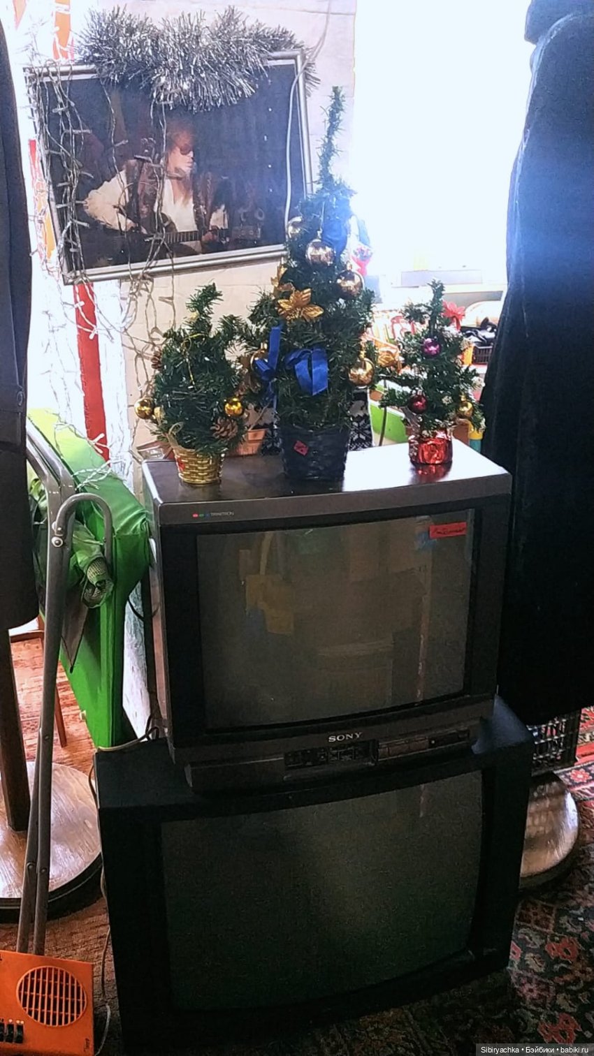 Экскурсия Веты на томскую " Свалку" | Бэйбики Экскурсия Веты на томскую " Свалку" (фото 10)