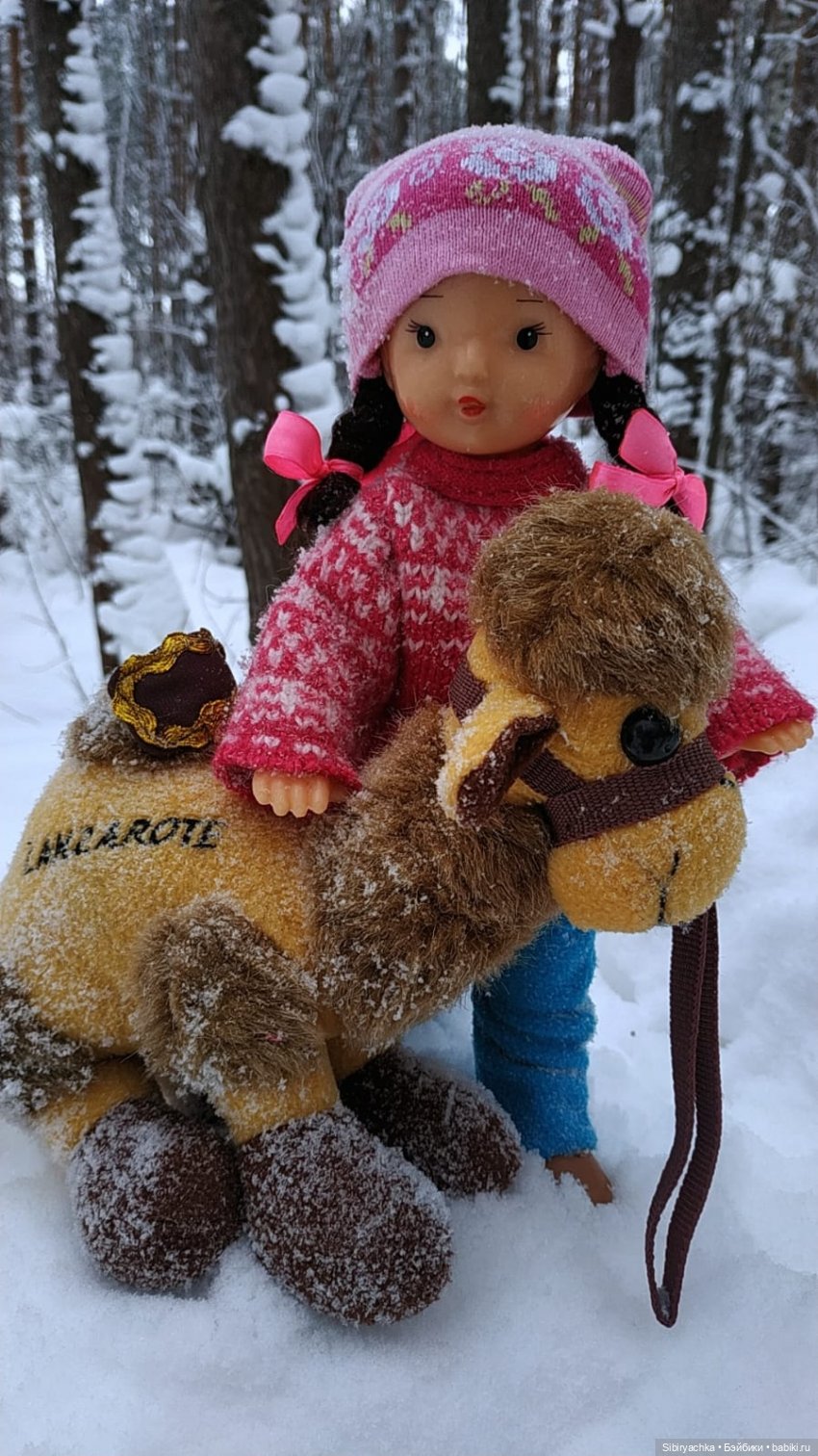 Неожиданная встреча в сибирском лесу