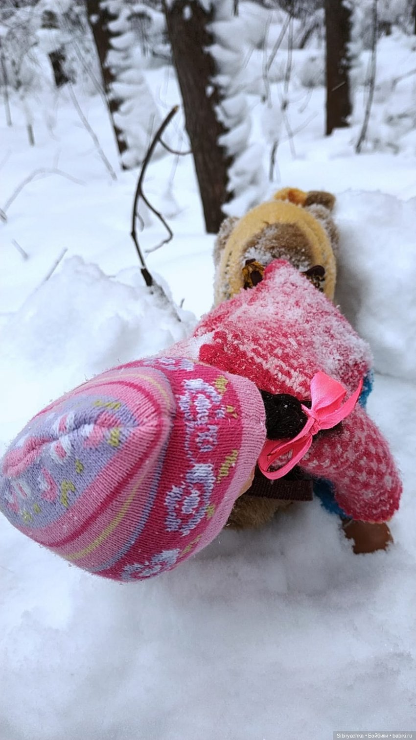 Неожиданная встреча в сибирском лесу