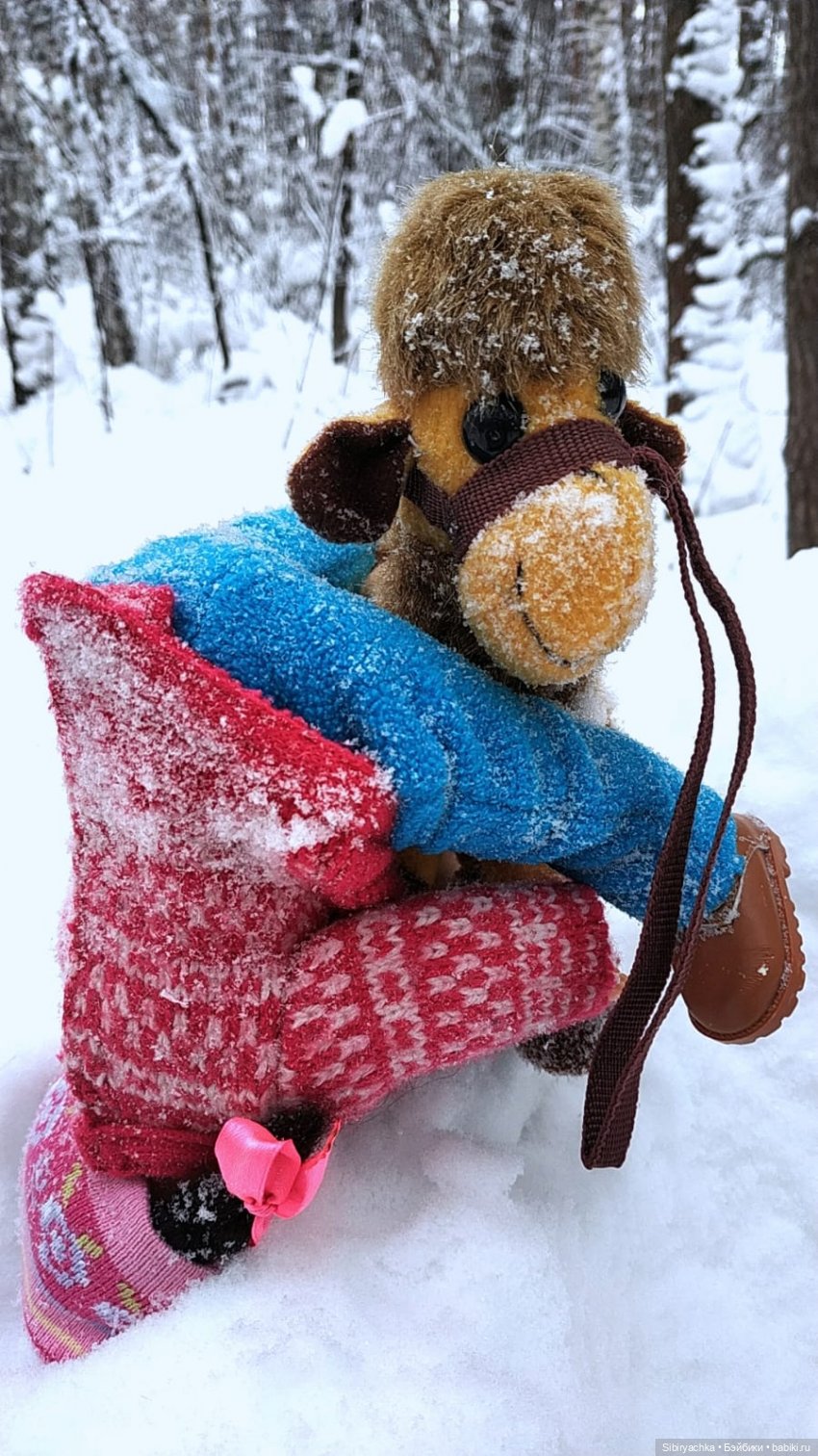 Неожиданная встреча в сибирском лесу