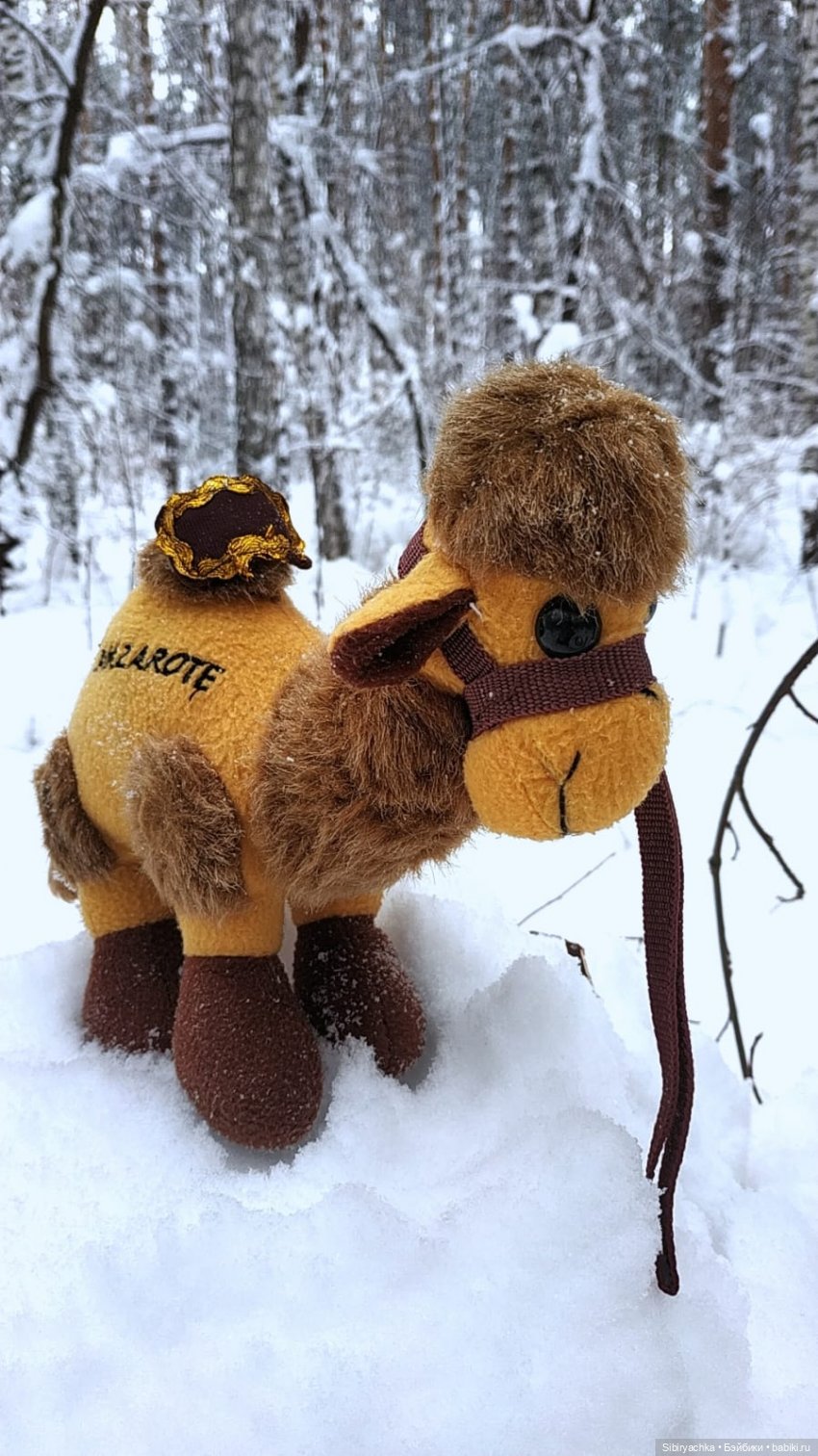 Неожиданная встреча в сибирском лесу (фото 2)