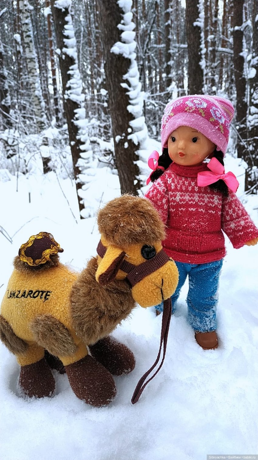 Неожиданная встреча в сибирском лесу (фото 5)