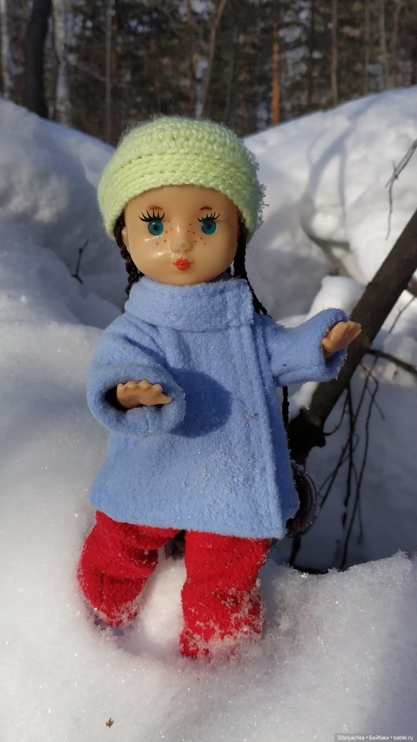 Прогулка Веты в сибирском лесу