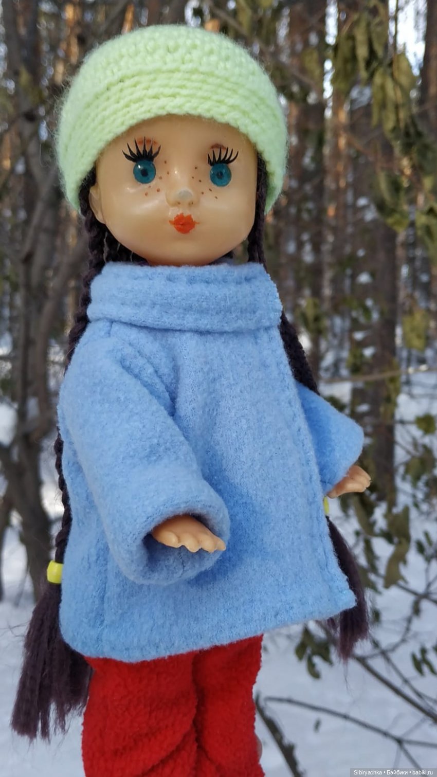 Прогулка Веты в сибирском лесу (фото 3)