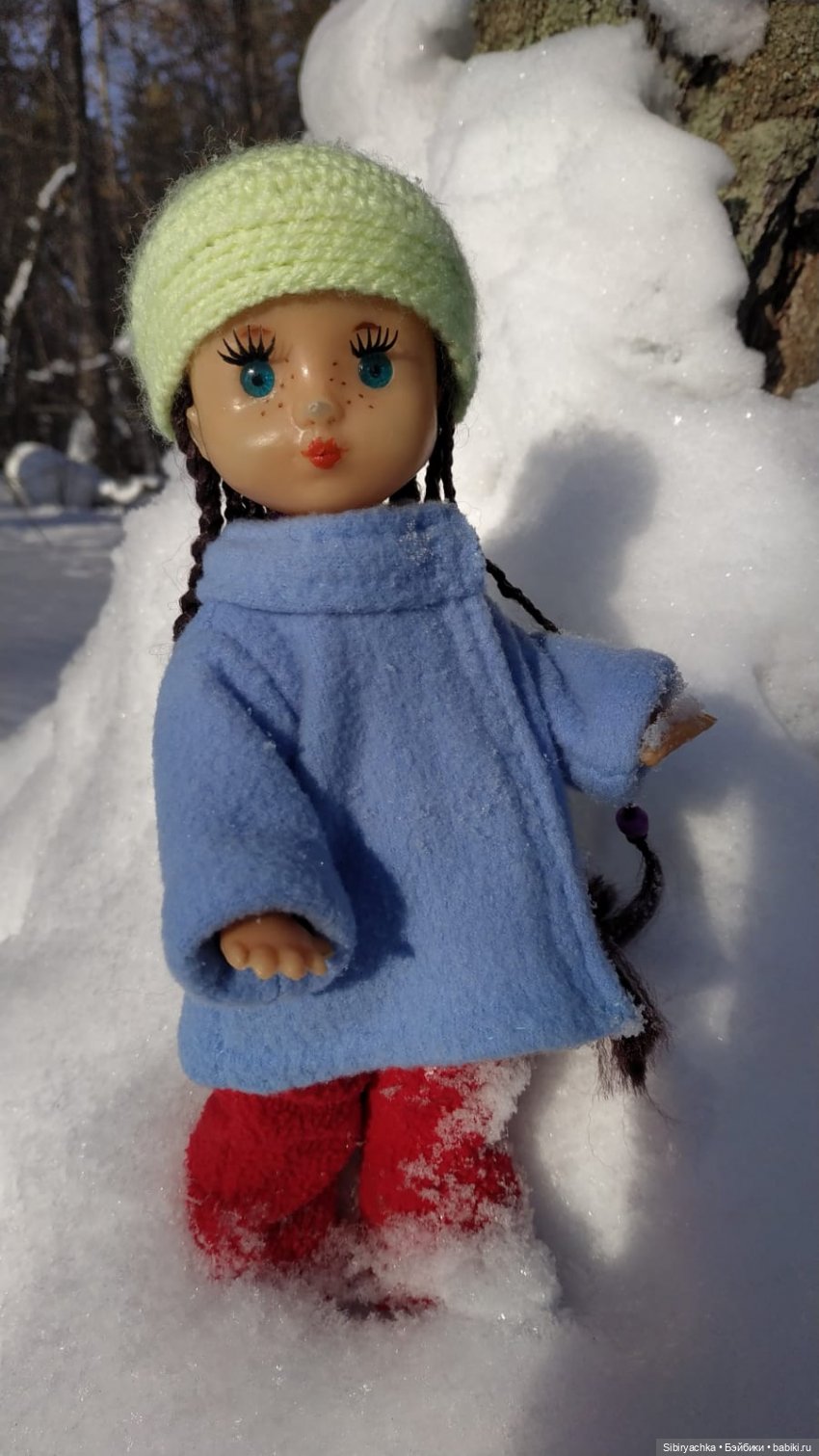 Прогулка Веты в сибирском лесу (фото 6)