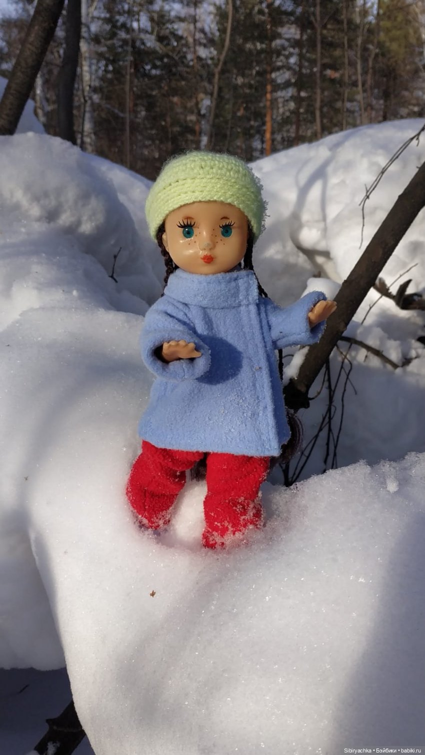 Прогулка Веты в сибирском лесу