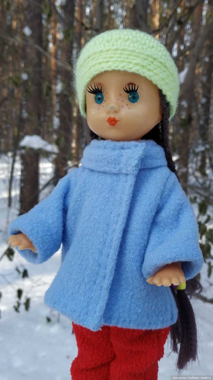 Прогулка Веты в сибирском лесу (фото 7)