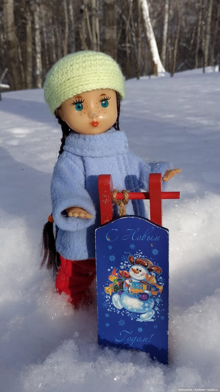 Прогулка Веты в сибирском лесу