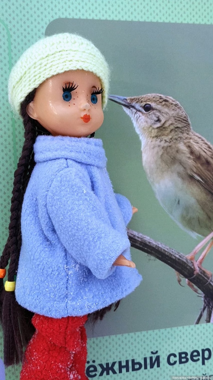 Прогулка Веты в сибирском лесу