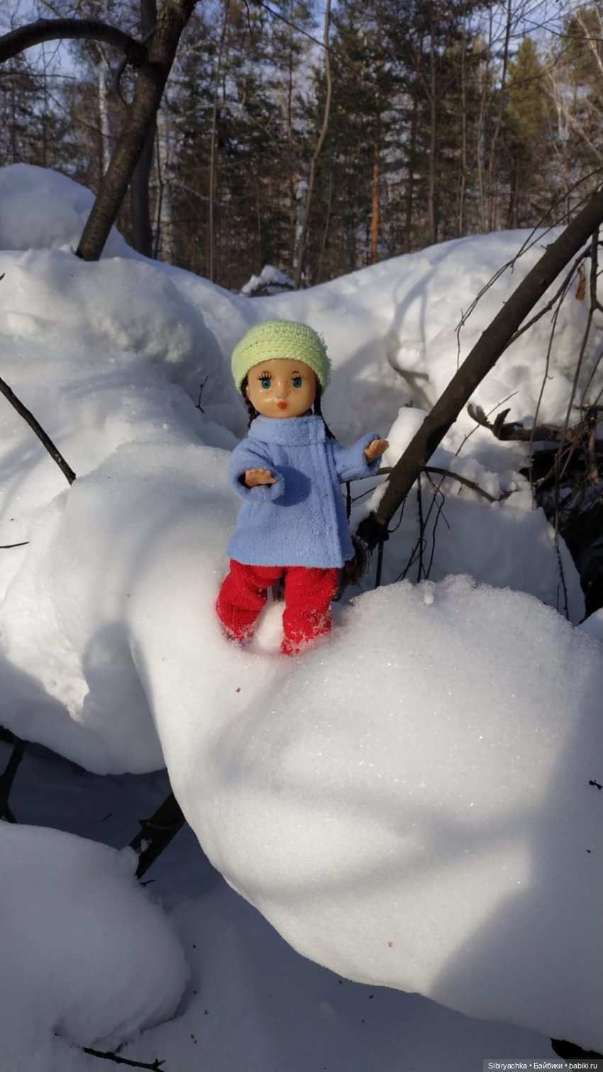 Прогулка Веты в сибирском лесу