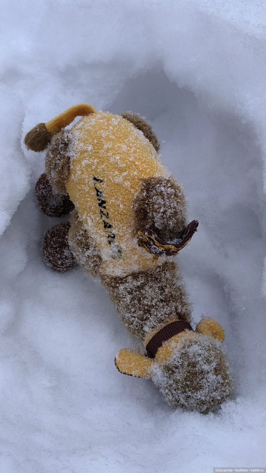 Воскресные приключения верблюжонка Тома