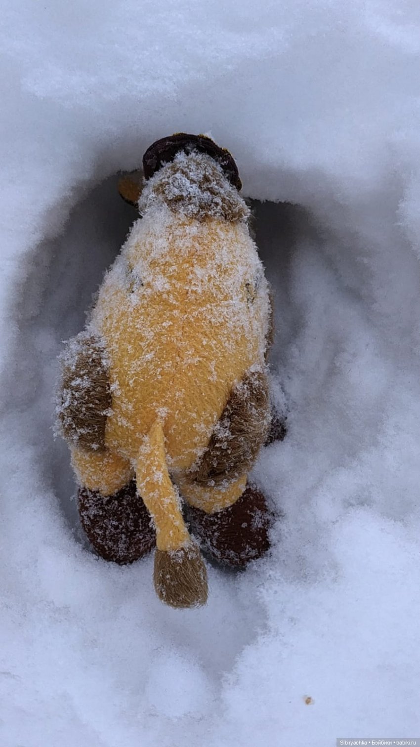 Воскресные приключения верблюжонка Тома