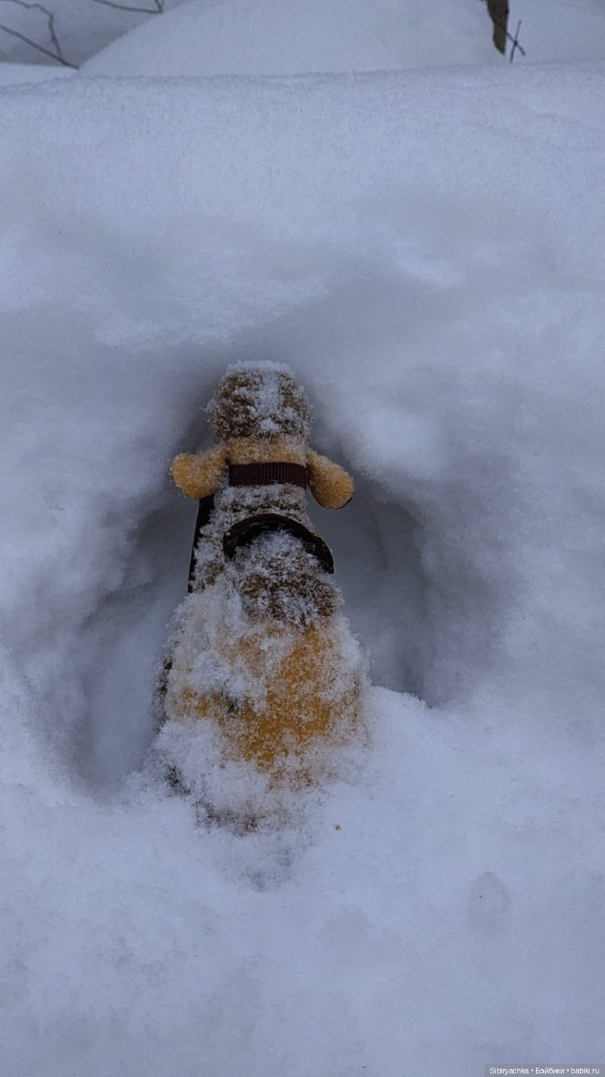 Воскресные приключения верблюжонка Тома